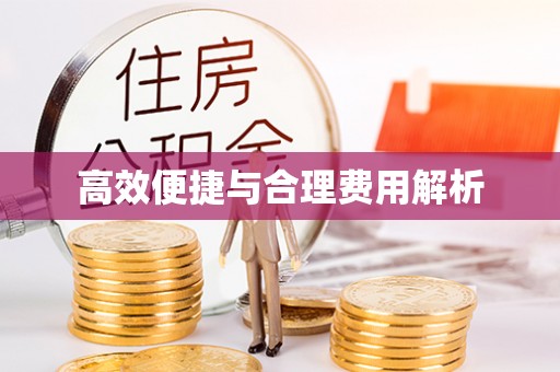 修文高效便捷与合理费用解析